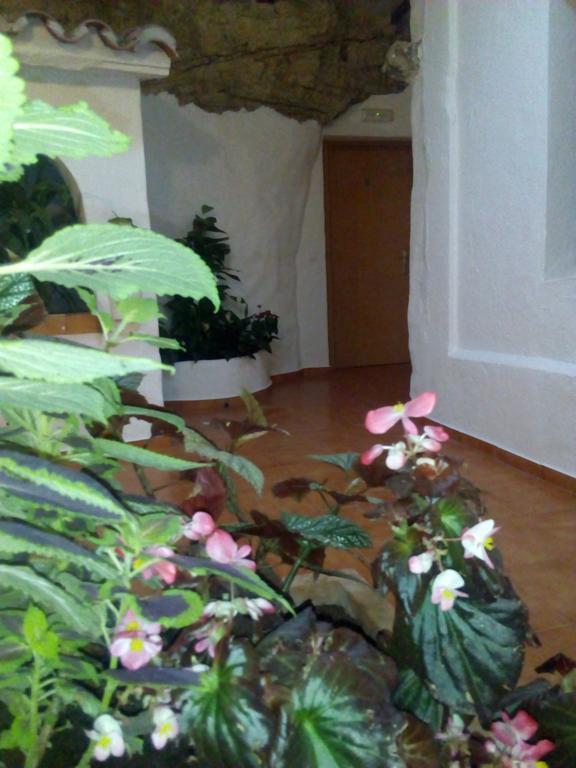 Hostal Batato Вьер де ла Фронтера Экстерьер фото